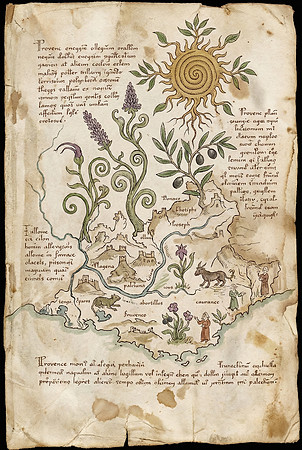 Nostravoynich Manuscript Page - Provence