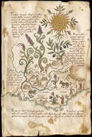Nostravoynich Manuscript Page - Provence