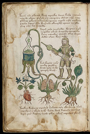 Nostravoynich Manuscript Page - Organic Medicine