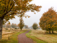 Autumn Joye Mist Trail