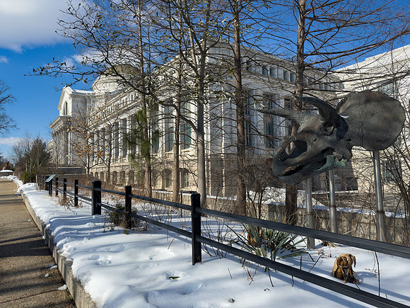 Smithsonian Snowceratops
