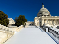 Capitol Snow Carpet