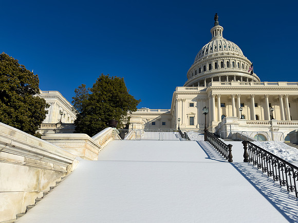 Capitol Snow Carpet
