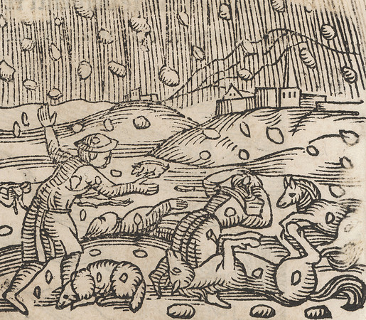 Vintage Woodcut - Agricultural Disaster