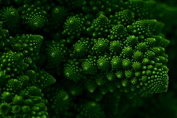 Macro Romanesco Broccoli - Low Key