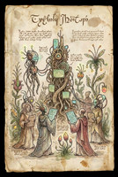 Nostravoynich Folio - Communal Knowledge Tree