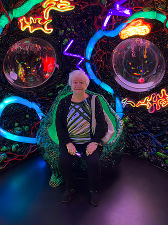 Meow Wolf Una