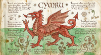 Nostravoynich Flag - Cymru (Wales)
