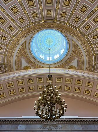 Aquiline Splendor