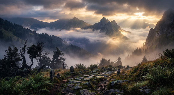 Flicker Mist Sunset
