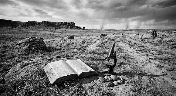 Inherit the Landscape