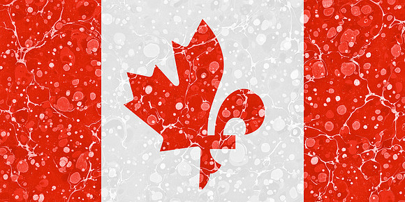Velvet Flag - Maple Lily Canada