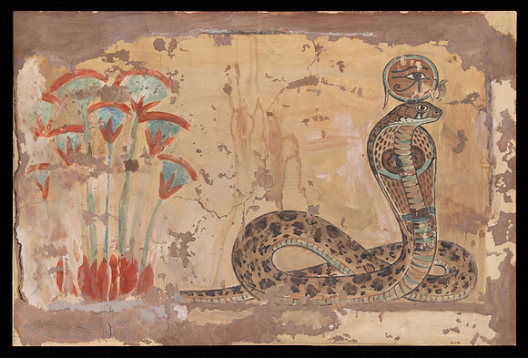 CobRa in a Papyrus Swamp