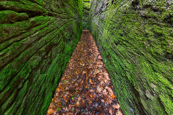 Emerald Corridor