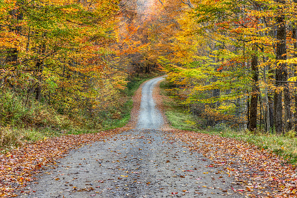 Autumn Bend of Rock City State Forest