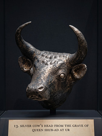 AI Color Photo Reconstruction - Silver Cow's Head from the Grave of Queen Shub-Ad at Ur