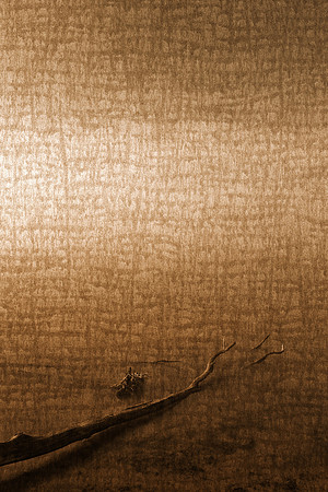 Sepia Deluge