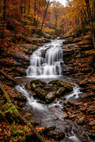 Hidden Autumn Heart Falls