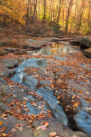 Autumn Boomerang Stream