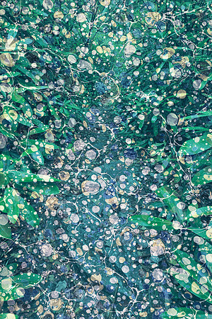 Marbled Rhododendron