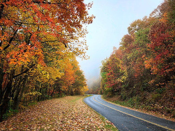Misty Autumn Road - Blue Ridge Parkway