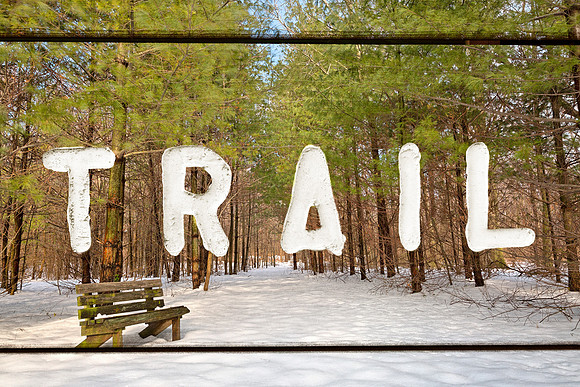 Wooded Winter Trail