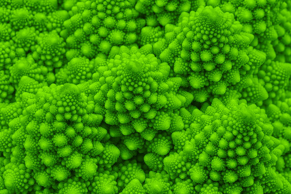 Romanesco Peaks