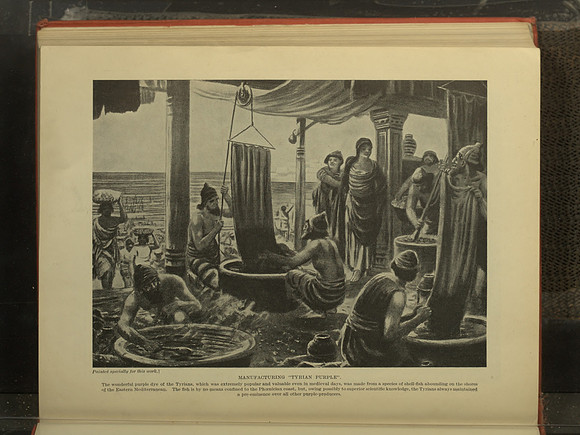 Vintage Phoenician History - Manufacturing "Tyrian Purple" (published circa early 20th century)