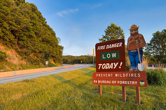 Smokey Hopwood Bear