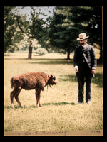 AI Color Recreation - Hornaday with Baby Bison at Smithsonian