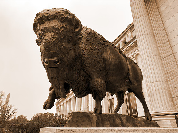 Sepia Bronze Majesty Bison