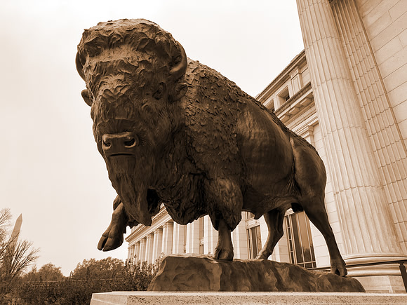 Sepia Bronze Majesty Bison