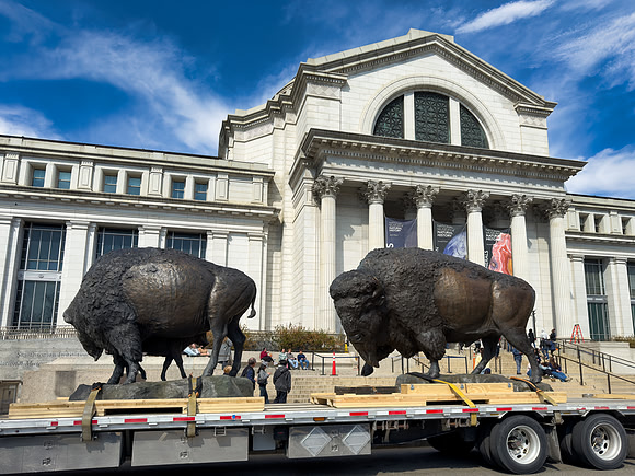 Bronze Bison Arriving for Installation at the Smithsonian National Museum of Natural History (March 19, 2026)
