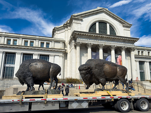 Bronze Bison Arriving for Installation at the Smithsonian National Museum of Natural History (March 19, 2026)