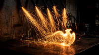 Freedom Sparks