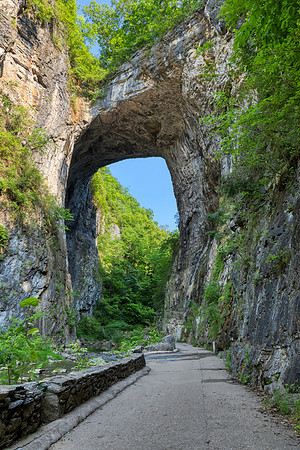 Natural Virginia Bridge