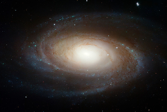 Spiral Galaxy Messier 81 / NGC 3031 / Bode's Galaxy