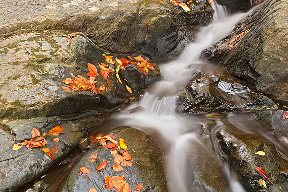 Glen Artney Stream IV