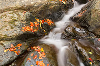 Glen Artney Stream IV