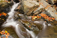 Glen Artney Stream V