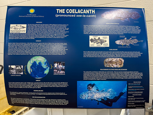 Coelacanth Interpretive Sign