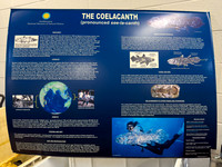 Coelacanth Interpretive Sign