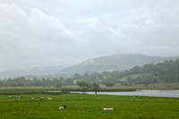 Foggy Glencar Pasture