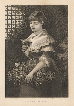 Vintage Image Plate - Rose of the South