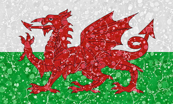 Marbled Flag - Wales