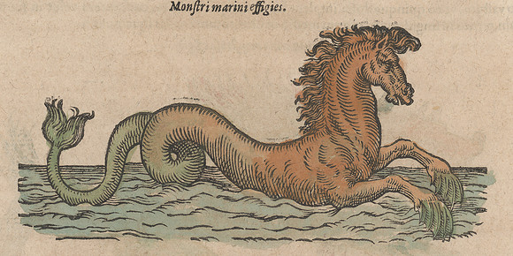 Vintage Woodcut Sea Monster 1