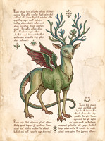 Nostravoynich Folio - Cervulisk