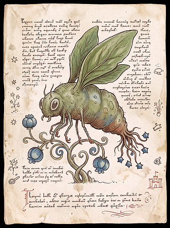 Nostravoynich Folio - Bulbous Loymi Fly