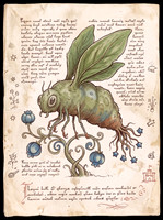 Nostravoynich Folio - Bulbous Loymi Fly