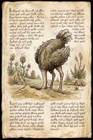 Nostravoynich Folio - Ostrich Oblivion